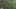 GIF via Zombie Prophet (@ZProphet_MMA) GIF via Zombie Prophet (@ZProphet_MMA)