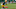Linebacker Isaiah McDuffie (58) is shown during the second day of Green Bay Packers rookie minicamp Saturday, May 15, 2021 in Green Bay, Wis.Cent02 7fsrsq2j81wngwzwhjf Original Linebacker Isaiah McDuffie (58) is shown during the second day of Green Bay Packers rookie minicamp Saturday, May 15, 2021 in Green Bay, Wis.Cent02 7fsrsq2j81wngwzwhjf Original