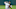 justin verlander