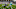 CARSON, CA – SEPTEMBER 17: Wide receiver DeVante Parker CARSON, CA – SEPTEMBER 17: Wide receiver DeVante Parker