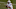 Justin Fields, 2021 NFL Draft Justin Fields, 2021 NFL Draft