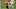 2021 nfl draft, nfl mock draft, rashod bateman 2021 nfl draft, nfl mock draft, rashod bateman