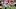 John Reed-USA TODAY Sports John Reed-USA TODAY Sports