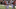 Joey Bosa Vs Maryland (2015) Joey Bosa Vs Maryland (2015)