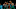 Boston Celtics