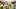 BACHELOR IN PARADISE – ABC’s “Bachelor in Paradise” stars Maurissa. (ABC/Craig Sjodin) BACHELOR IN PARADISE – ABC’s “Bachelor in Paradise” stars Maurissa. (ABC/Craig Sjodin)