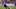 ORLANDO, FL – JUNE 14: Orlando City SC defender Rafael Ramos (27) kicks the ball during the Open Cup soccer match between Miami FC and Orlando City SC on June 14, 2017 at Orlando City Stadium in Orlando FL. (Photo by Joe Petro/Icon Sportswire via Getty Images) ORLANDO, FL – JUNE 14: Orlando City SC defender Rafael Ramos (27) kicks the ball during the Open Cup soccer match between Miami FC and Orlando City SC on June 14, 2017 at Orlando City Stadium in Orlando FL. (Photo by Joe Petro/Icon Sportswire via Getty Images)