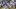 DraftKings DraftKings