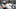 NEW YORK, NY – APRIL 03: Giancarlo Stanton NEW YORK, NY – APRIL 03: Giancarlo Stanton
