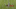 Blount Run Blount Run