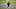 INDIANAPOLIS, IN – MARCH 06: Defensive back Sidney Jones of Washington participates in a drill during day six of the NFL Combine at Lucas Oil Stadium on March 6, 2017 in Indianapolis, Indiana. (Photo by Joe Robbins/Getty Images) INDIANAPOLIS, IN – MARCH 06: Defensive back Sidney Jones of Washington participates in a drill during day six of the NFL Combine at Lucas Oil Stadium on March 6, 2017 in Indianapolis, Indiana. (Photo by Joe Robbins/Getty Images)