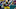 (Photo by Jonathan Daniel/Getty Images) Ahman Green (Photo by Jonathan Daniel/Getty Images) Ahman Green
