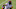 Chicago Bears, Darnell Mooney