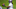 Jun 13, 2017; Eden Prarie, MN, USA; Minnesota Vikings running back Dalvin Cook (33) at Winter Park in Eden Prairie, MN. Mandatory Credit: Brad Rempel-USA TODAY Sports Jun 13, 2017; Eden Prarie, MN, USA; Minnesota Vikings running back Dalvin Cook (33) at Winter Park in Eden Prairie, MN. Mandatory Credit: Brad Rempel-USA TODAY Sports