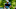 PGA Tour, 2021-22 PGA Tour Season, Golf, Rankings, Brooks Koepka