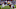 Washington Football Team Washington Football Team