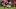 Georgia Football Georgia Football
