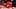 Detroit Red Wings Detroit Red Wings