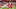 Scotty Miller, Tampa Bay Buccaneers, (Photo by Mike Ehrmann/Getty Images) Scotty Miller, Tampa Bay Buccaneers, (Photo by Mike Ehrmann/Getty Images)