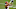 Philadelphia Eagles Philadelphia Eagles