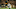 TEMPE, AZ – SEPTEMBER 08: Wide receiver Frank Darby #84 of the Arizona State Sun Devils makes a reception ahead of cornerback Josh Butler #19 of the Michigan State Spartans during the second half of the college football game at Sun Devil Stadium on September 8, 2018 in Tempe, Arizona. (Photo by Christian Petersen/Getty Images) TEMPE, AZ – SEPTEMBER 08: Wide receiver Frank Darby #84 of the Arizona State Sun Devils makes a reception ahead of cornerback Josh Butler #19 of the Michigan State Spartans during the second half of the college football game at Sun Devil Stadium on September 8, 2018 in Tempe, Arizona. (Photo by Christian Petersen/Getty Images)