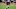 FanDuel NFL FanDuel NFL