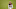 NFL 2021 NFL 2021