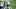 Buffalo Bills Buffalo Bills