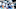 Detroit Lions Detroit Lions