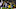 New England Patriots team grades vs Pittsburgh Steelers Week 15 New England Patriots team grades vs Pittsburgh Steelers Week 15