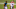 NFL Week 3 NFL Week 3