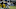 Detroit Lions Detroit Lions