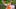 Trevor Lawrence Trevor Lawrence