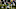 Philadelphia Eagles Philadelphia Eagles