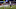 New England Patriots New England Patriots