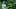 John Deere Classic, PGA Tour, TPC Deere Run, Silvis, FedEx Cup, 2022 John Deere Classic John Deere Classic, PGA Tour, TPC Deere Run, Silvis, FedEx Cup, 2022 John Deere Classic