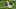 Terrace Marshall, WR, LSU Mandatory Credit: Jay Biggerstaff-USA TODAY Sports Terrace Marshall, WR, LSU Mandatory Credit: Jay Biggerstaff-USA TODAY Sports