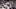 DraftKings DraftKings