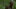 decayed walker, The Walking Dead - AMC decayed walker, The Walking Dead - AMC