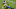 Pittsburgh Steelers Pittsburgh Steelers