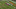 Screen Shot 2016-08-02 at 4.38.08 PM Screen Shot 2016-08-02 at 4.38.08 PM