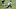 Cowboys, Tony Pollard, NFL Rumors Cowboys, Tony Pollard, NFL Rumors