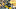 iowa hawkeyes iowa hawkeyes