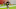 2021 NFL Draft, NFL Mock Draft, Jaylen Waddle
