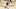 Kansas basketball Kansas basketball