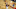 Santa Cruz Warriors