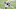 Buffalo Bills Buffalo Bills