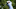 Branden Grace U.S. Open PGA TOUR