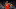 NBA Draft NBA Draft