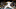 (Photo by Sean M. Haffey/Getty Images) – Los Angeles Dodgers